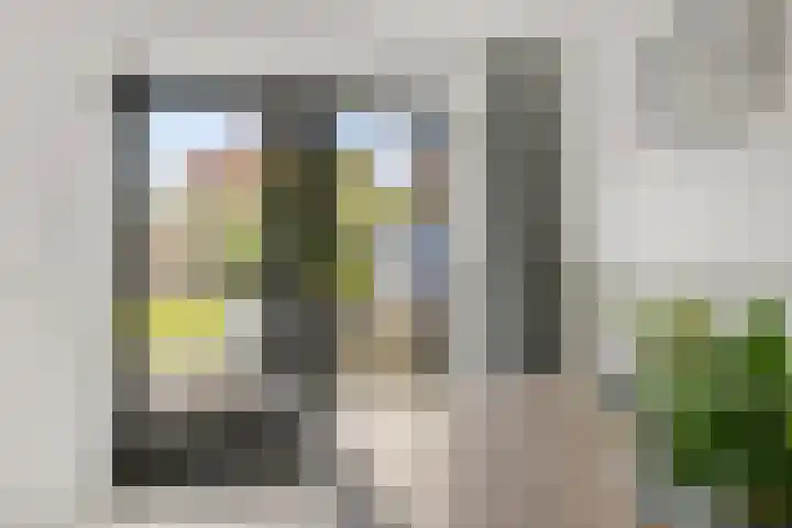 Het Zool 8 Leeuwarden thumbnail 10