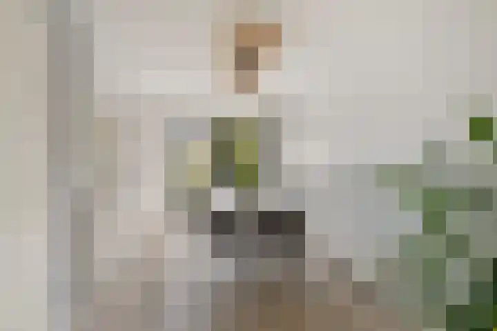 Het Zool 8 Leeuwarden thumbnail 11