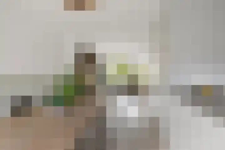 Het Zool 8 Leeuwarden thumbnail 12