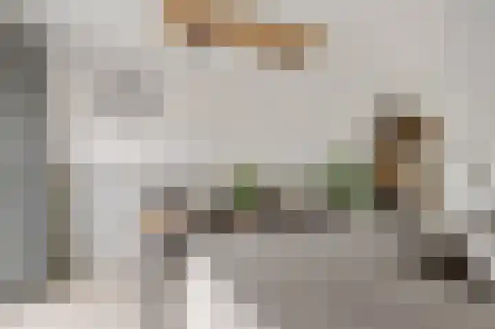 Het Zool 8 Leeuwarden thumbnail 16