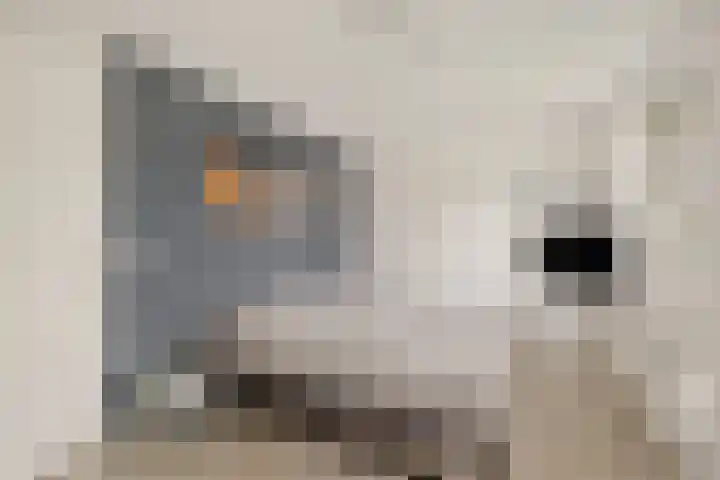 Het Zool 8 Leeuwarden thumbnail 21