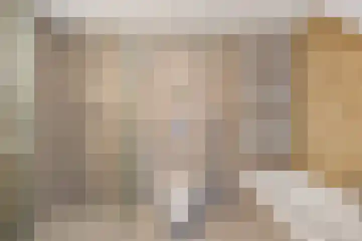 Het Zool 8 Leeuwarden thumbnail 24