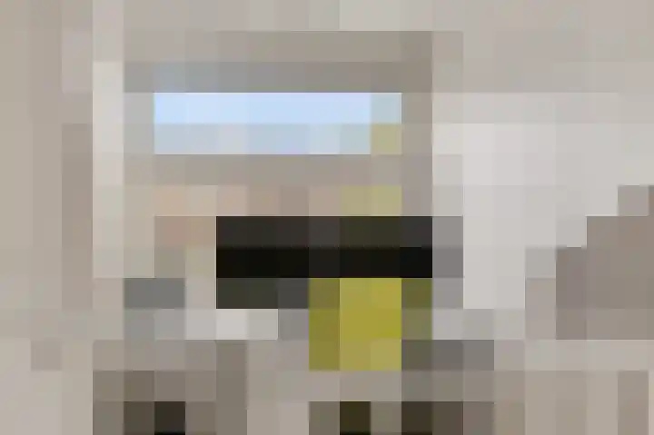 Het Zool 8 Leeuwarden thumbnail 26