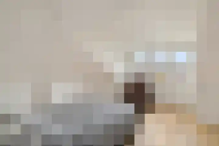 Het Zool 8 Leeuwarden thumbnail 27
