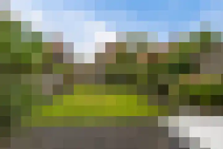 Het Zool 8 Leeuwarden thumbnail 29