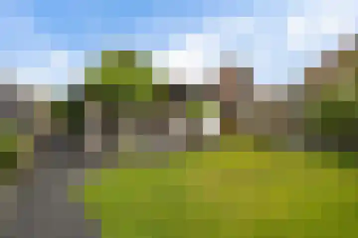 Het Zool 8 Leeuwarden thumbnail 30