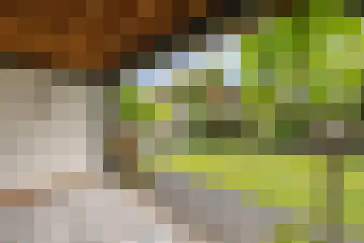 Het Zool 8 Leeuwarden thumbnail 31