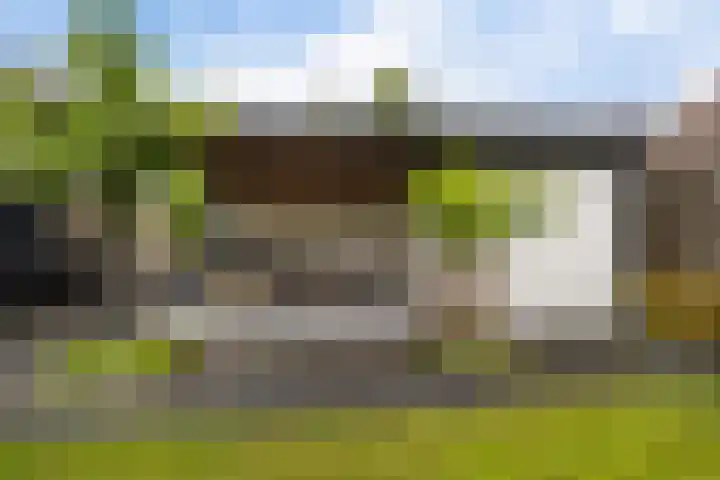 Het Zool 8 Leeuwarden thumbnail 32