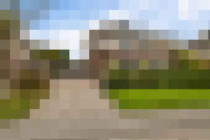 Het Zool 8 Leeuwarden thumbnail 33