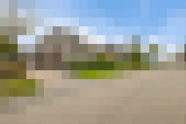 Het Zool 8 Leeuwarden thumbnail 34