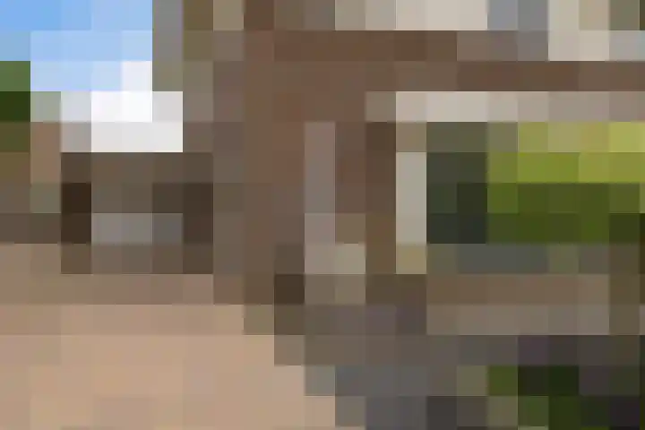 Het Zool 8 Leeuwarden thumbnail 35