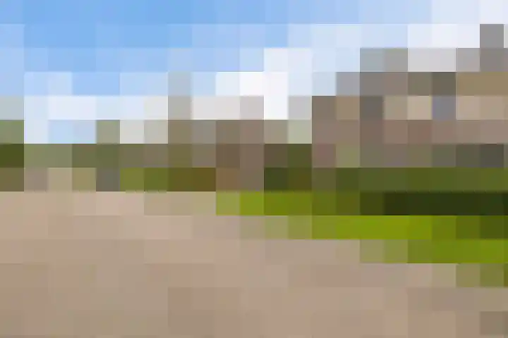 Het Zool 8 Leeuwarden thumbnail 36