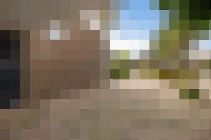 Het Zool 8 Leeuwarden thumbnail 38