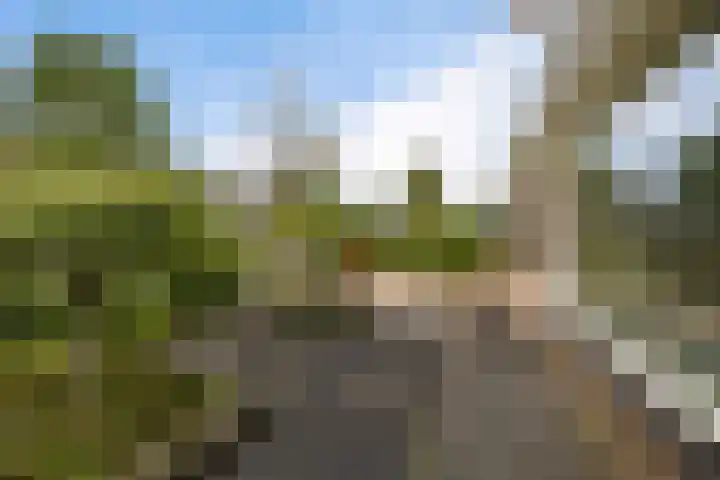 Het Zool 8 Leeuwarden thumbnail 40