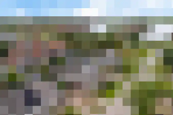 Het Zool 8 Leeuwarden thumbnail 41
