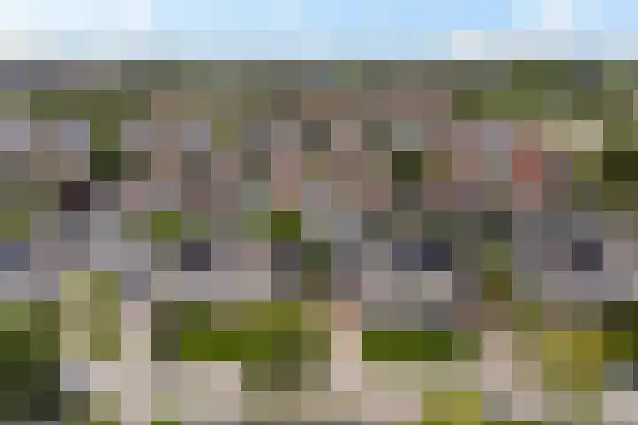 Het Zool 8 Leeuwarden thumbnail 42