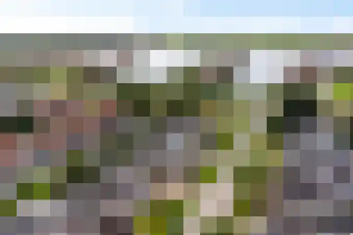 Het Zool 8 Leeuwarden thumbnail 43