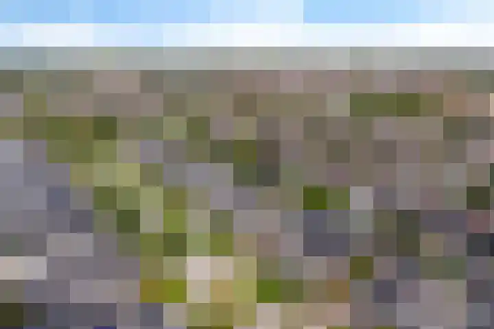 Het Zool 8 Leeuwarden thumbnail 44