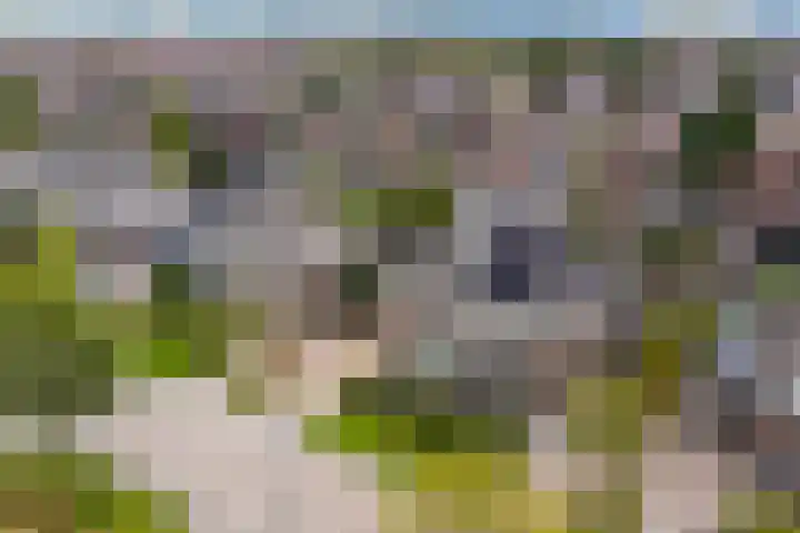 Het Zool 8 Leeuwarden thumbnail 45
