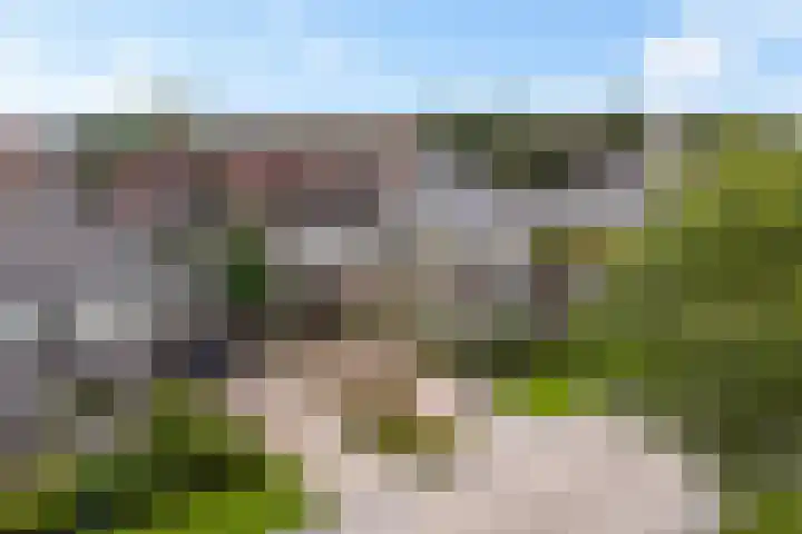 Het Zool 8 Leeuwarden thumbnail 46