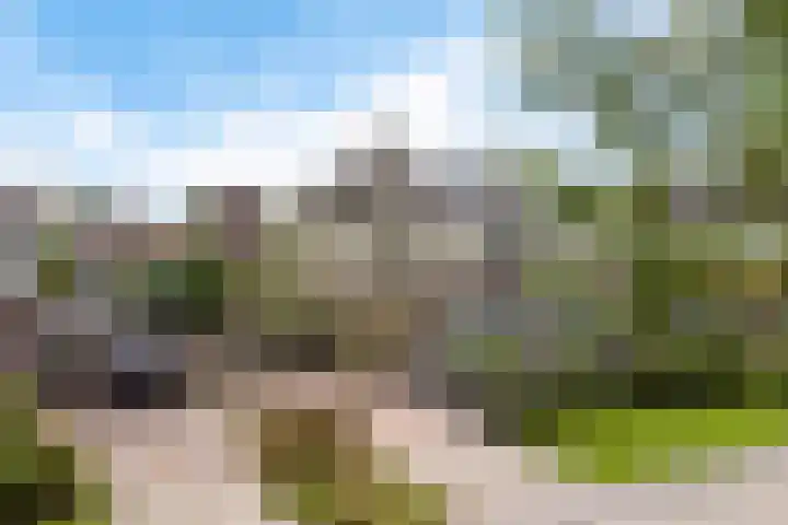 Het Zool 8 Leeuwarden thumbnail 47