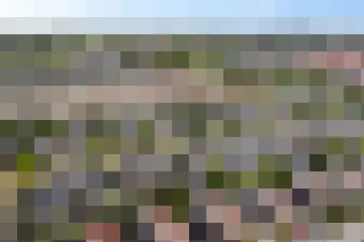 Het Zool 8 Leeuwarden thumbnail 48