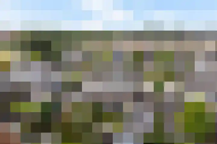 Het Zool 8 Leeuwarden thumbnail 49