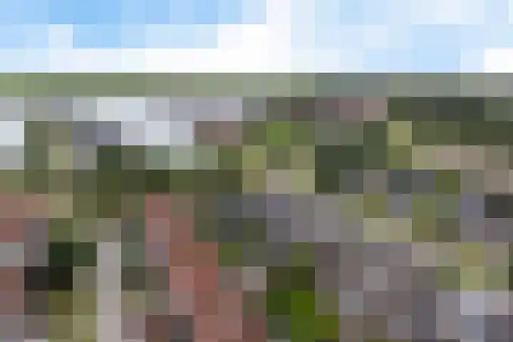 Het Zool 8 Leeuwarden thumbnail 50