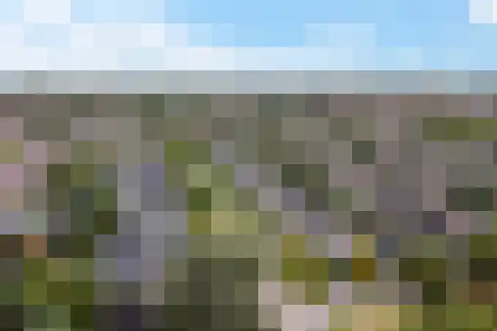 Het Zool 8 Leeuwarden thumbnail 51