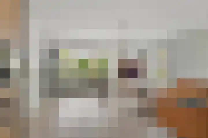 Het Zool 8 Leeuwarden thumbnail 7