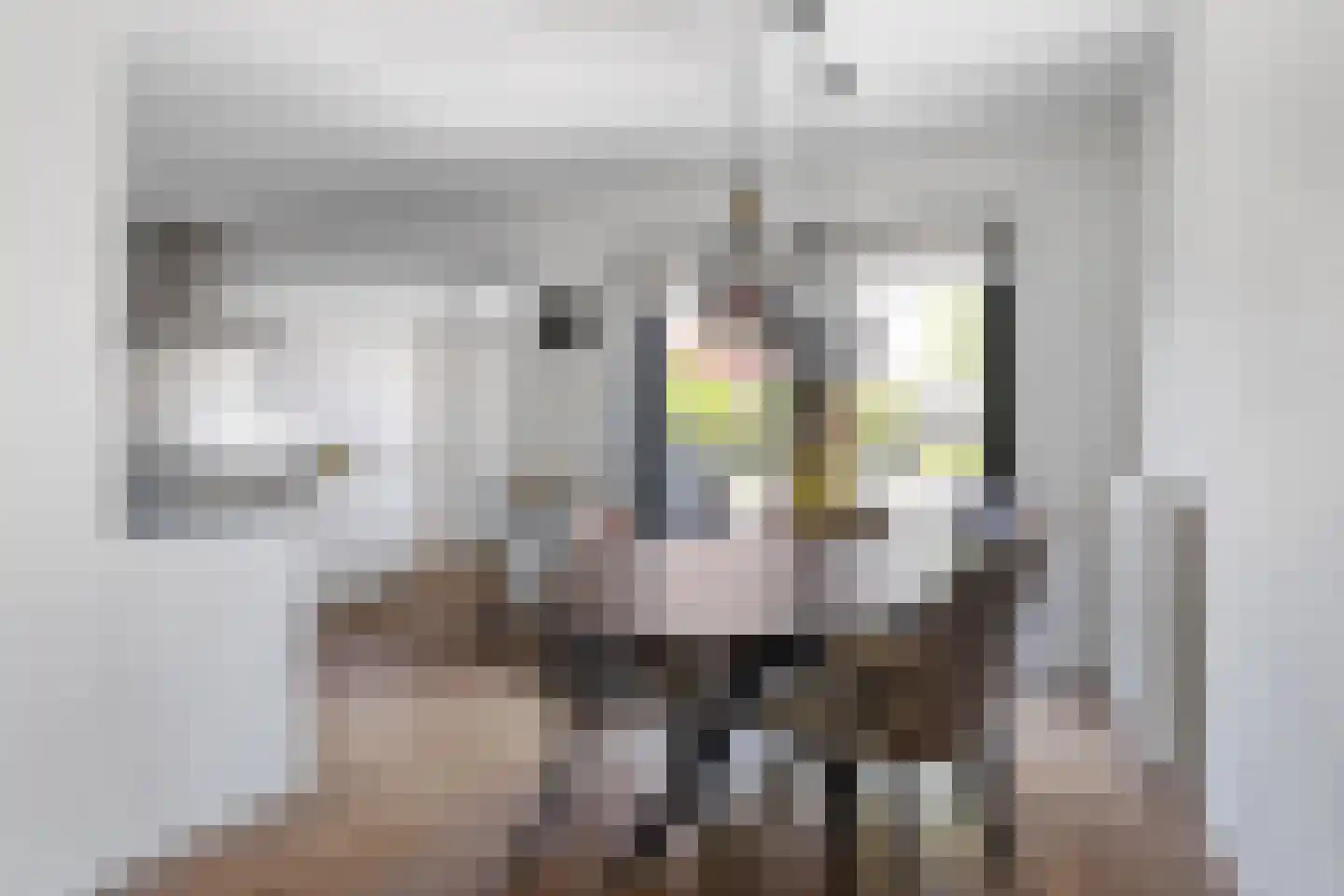 Het Zool 9 Leeuwarden thumbnail 13