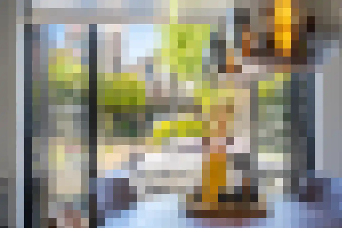 Het Zool 9 Leeuwarden thumbnail 14
