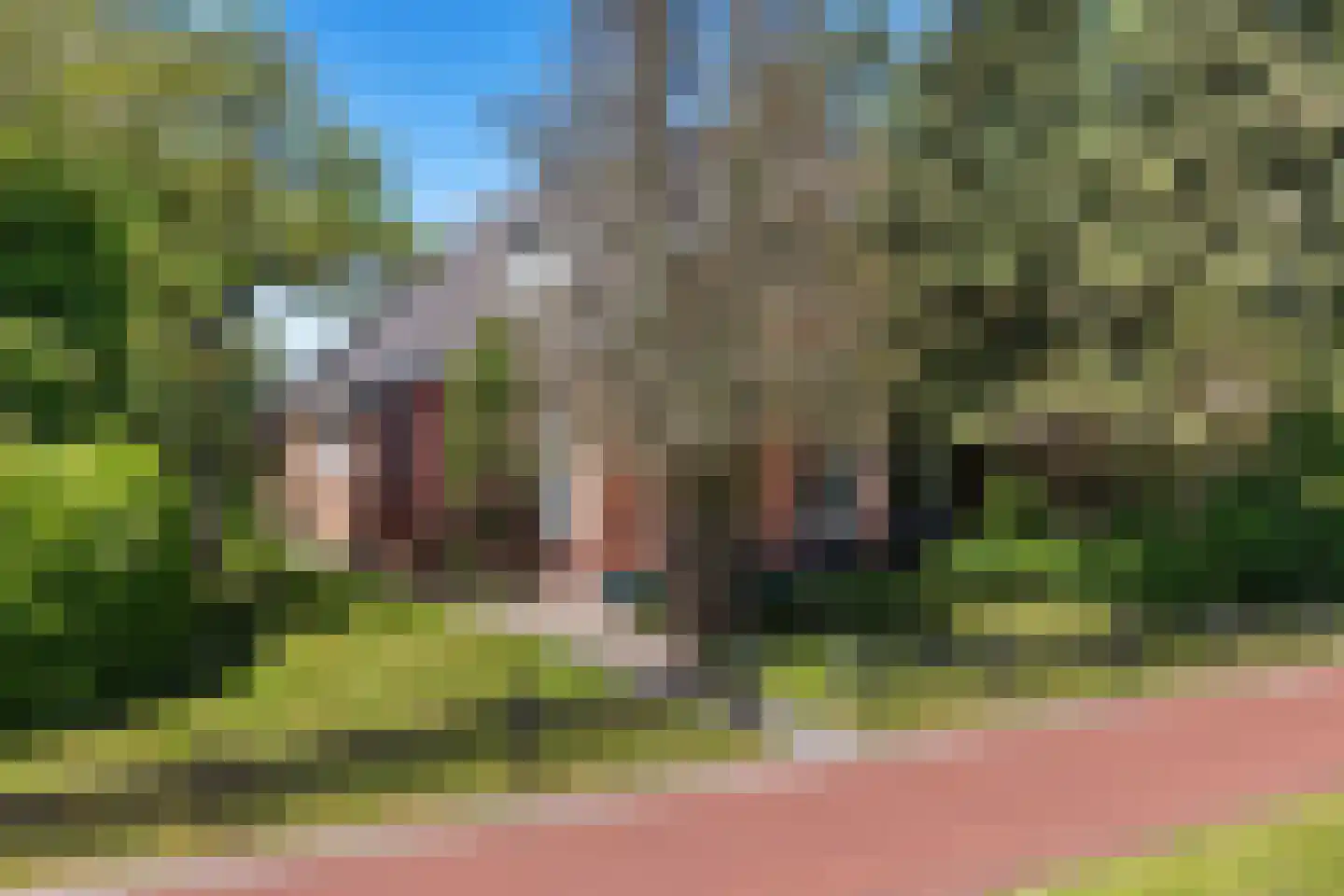 Het Zuid 16 Drachten thumbnail 17