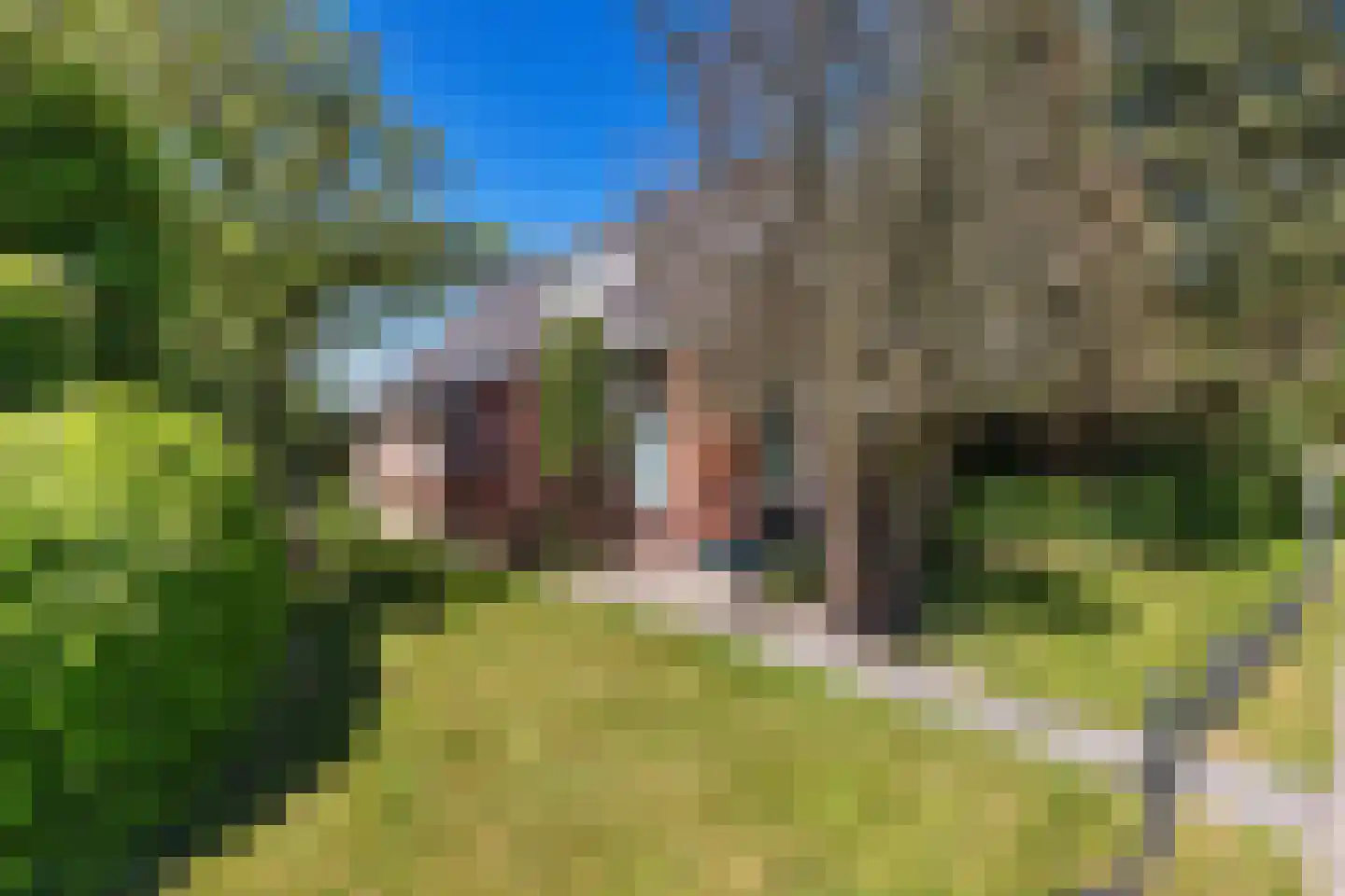 Het Zuid 16 Drachten thumbnail 19