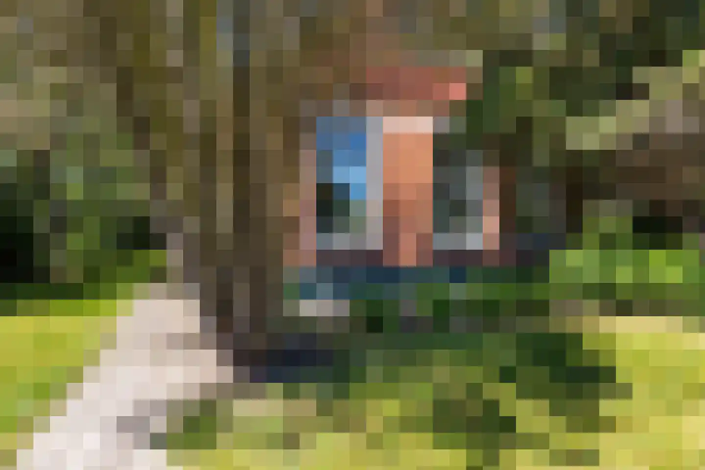 Het Zuid 16 Drachten thumbnail 20