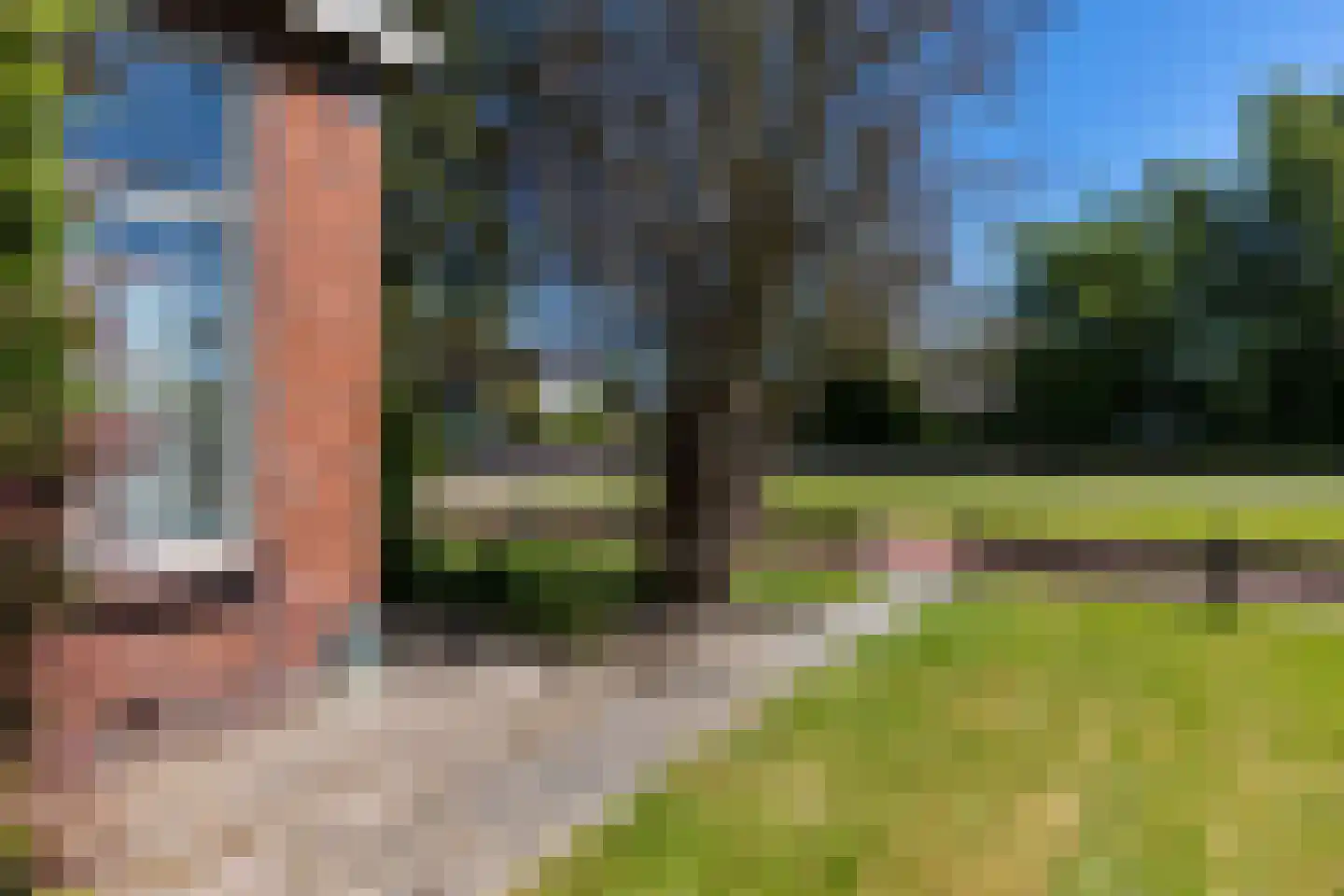 Het Zuid 16 Drachten thumbnail 22