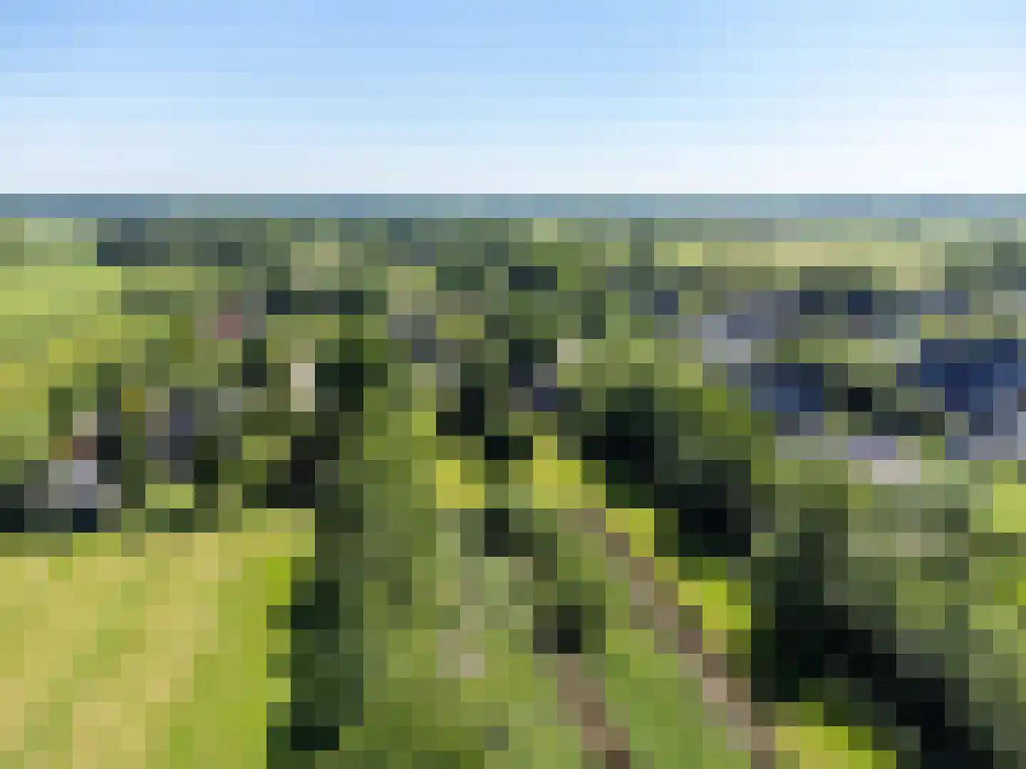 Het Zuid 16 Drachten thumbnail 27