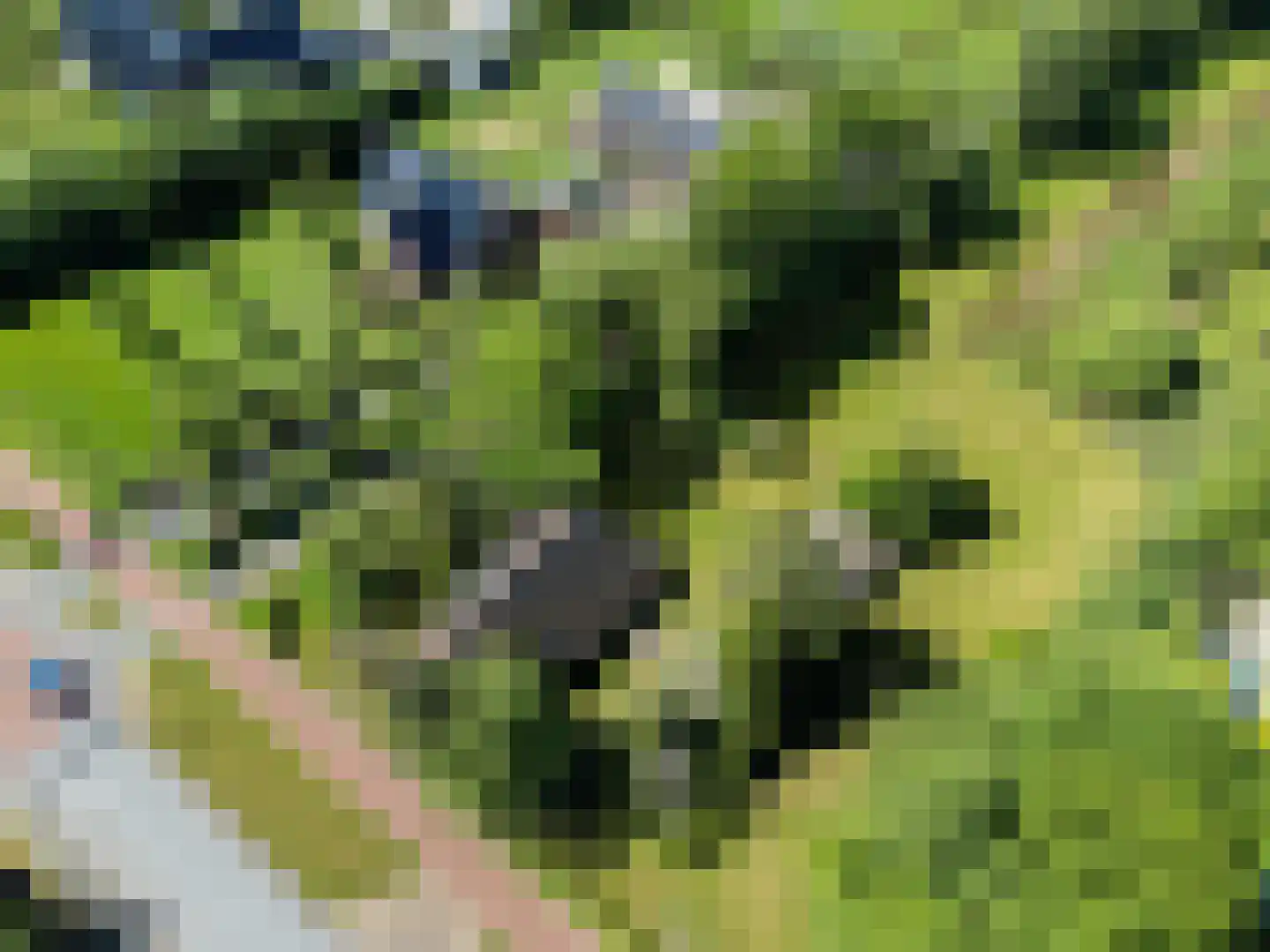 Het Zuid 16 Drachten thumbnail 29