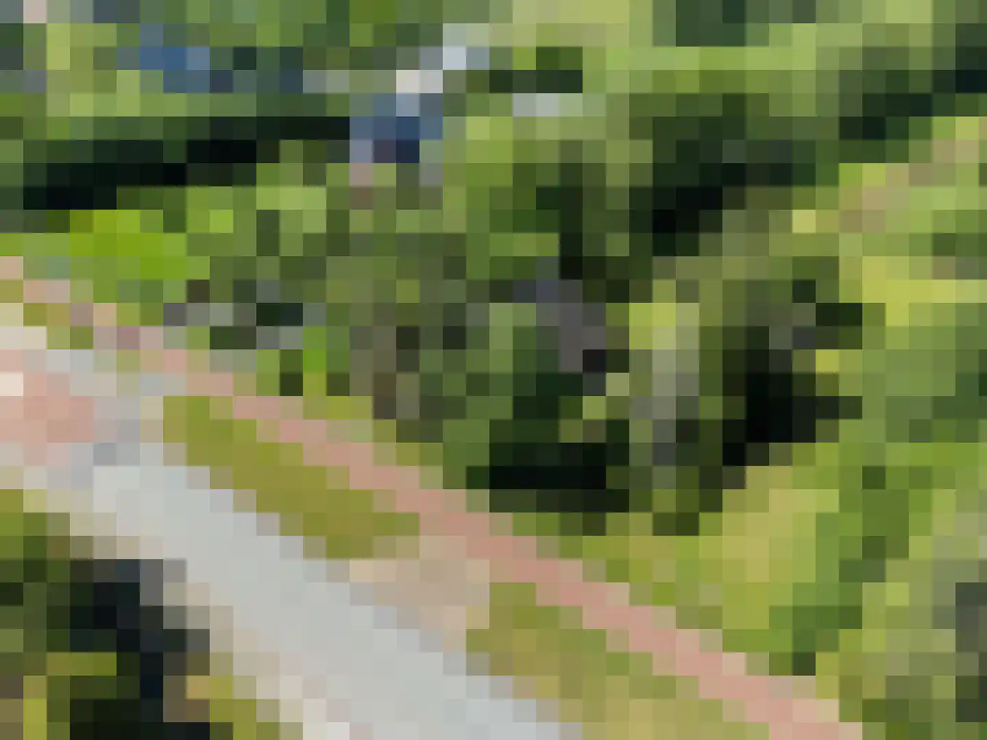 Het Zuid 16 Drachten thumbnail 30