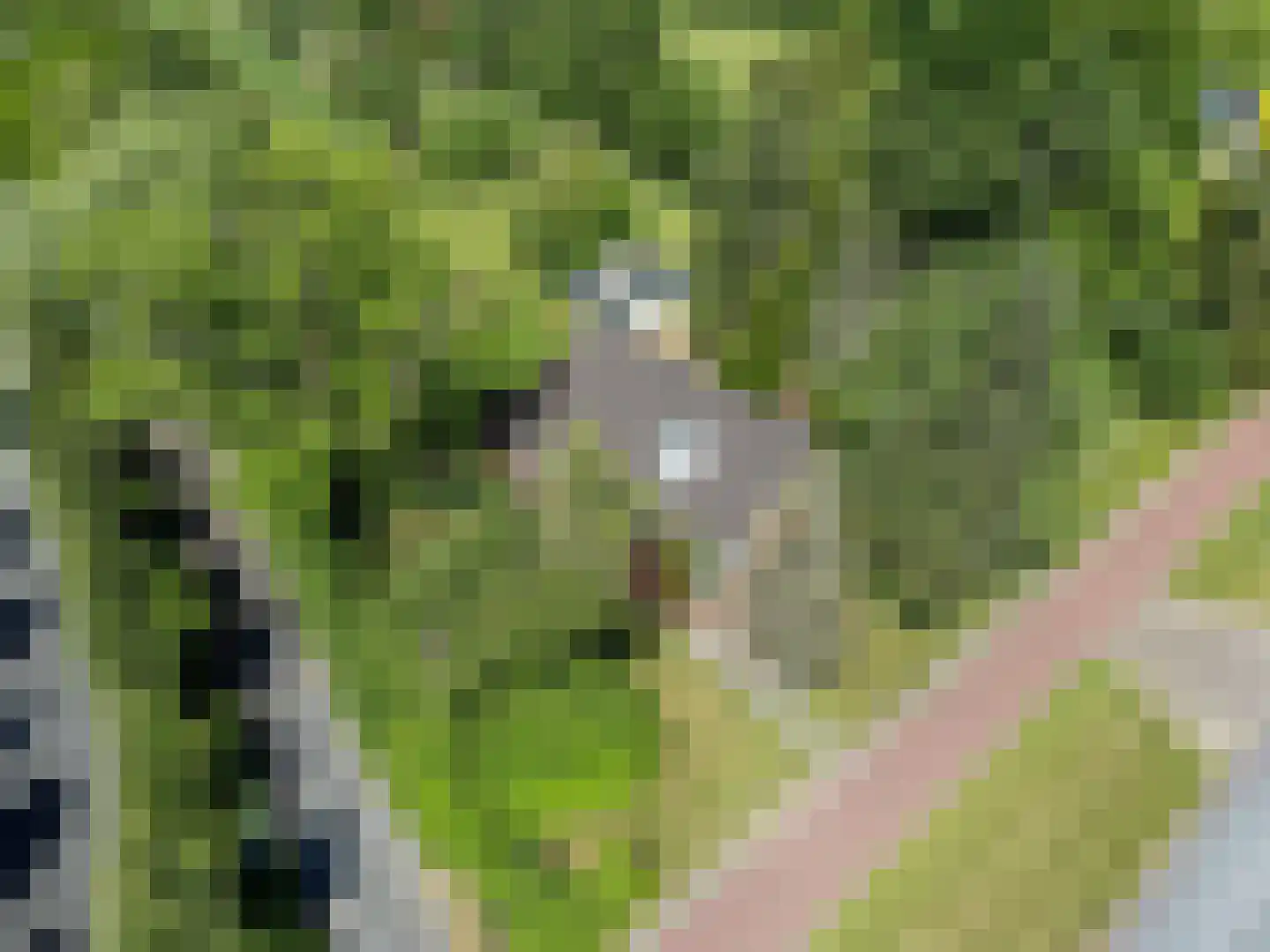 Het Zuid 16 Drachten thumbnail 31