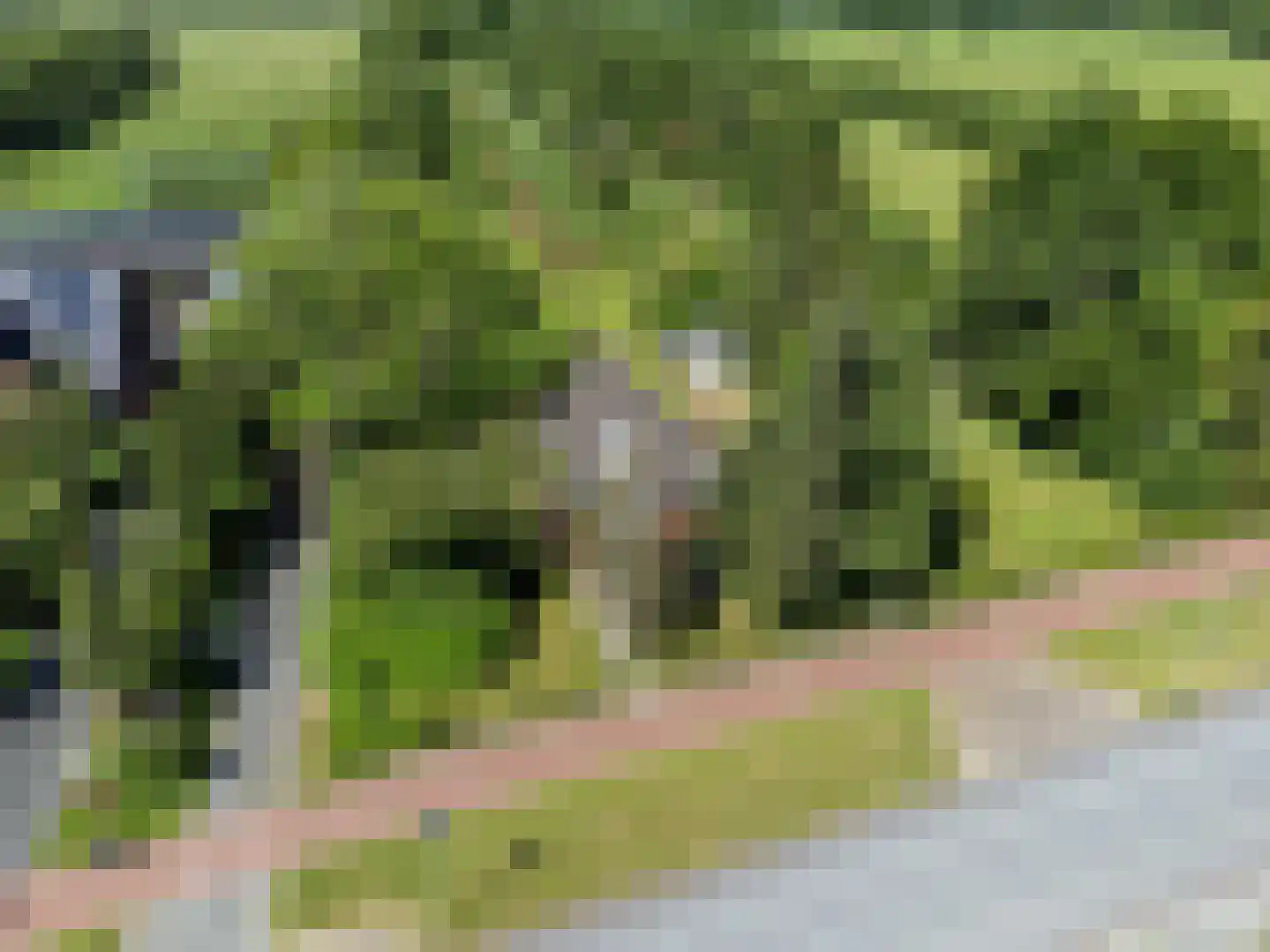 Het Zuid 16 Drachten thumbnail 32