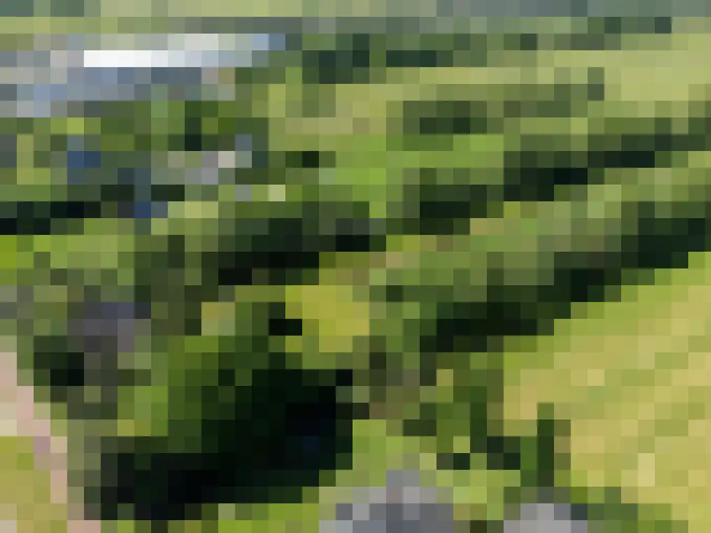 Het Zuid 16 Drachten thumbnail 33