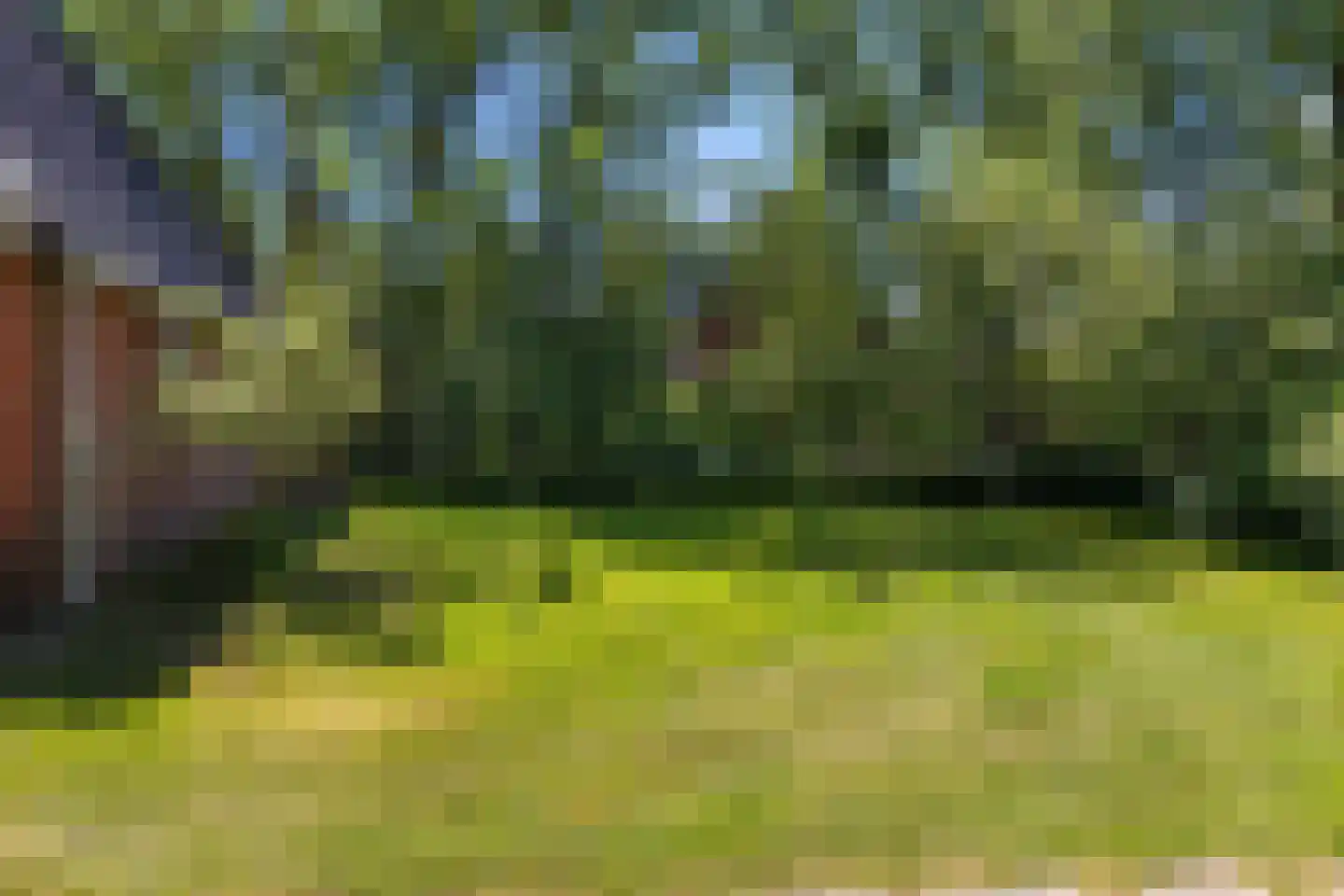Het Zuid 16 Drachten thumbnail 6