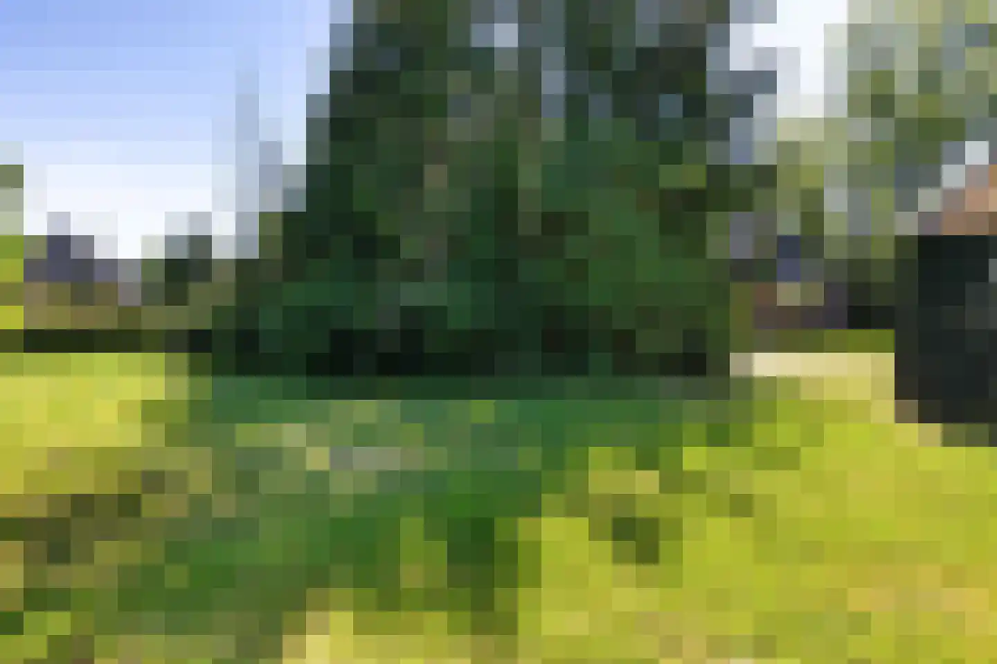 Het Zuid 16 Drachten thumbnail 9