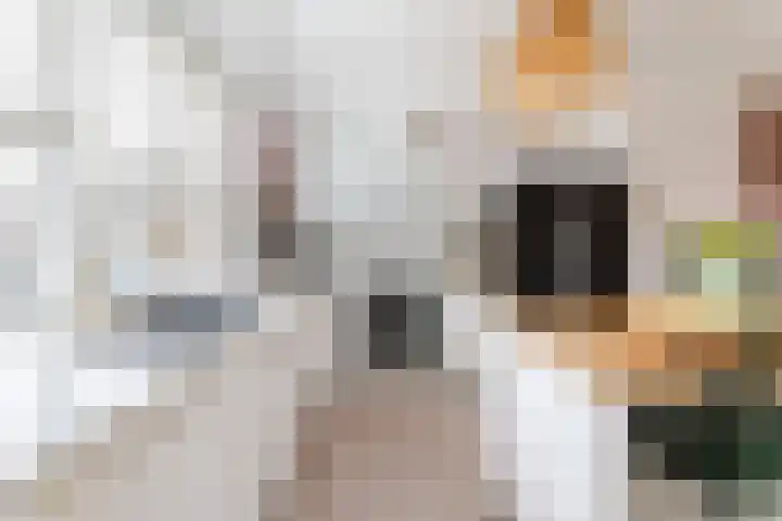 Het Zwanevlot 120 Zutphen thumbnail 13