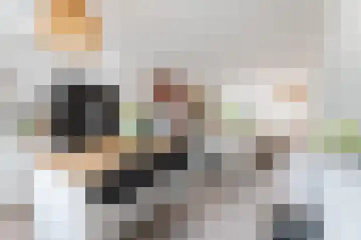 Het Zwanevlot 120 Zutphen thumbnail 14