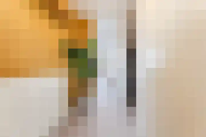 Het Zwanevlot 120 Zutphen thumbnail 16