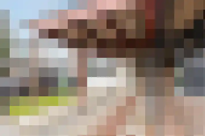 Het Zwanevlot 120 Zutphen thumbnail 17