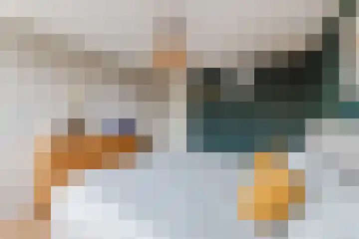 Het Zwanevlot 120 Zutphen thumbnail 21