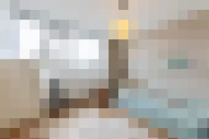 Het Zwanevlot 120 Zutphen thumbnail 22